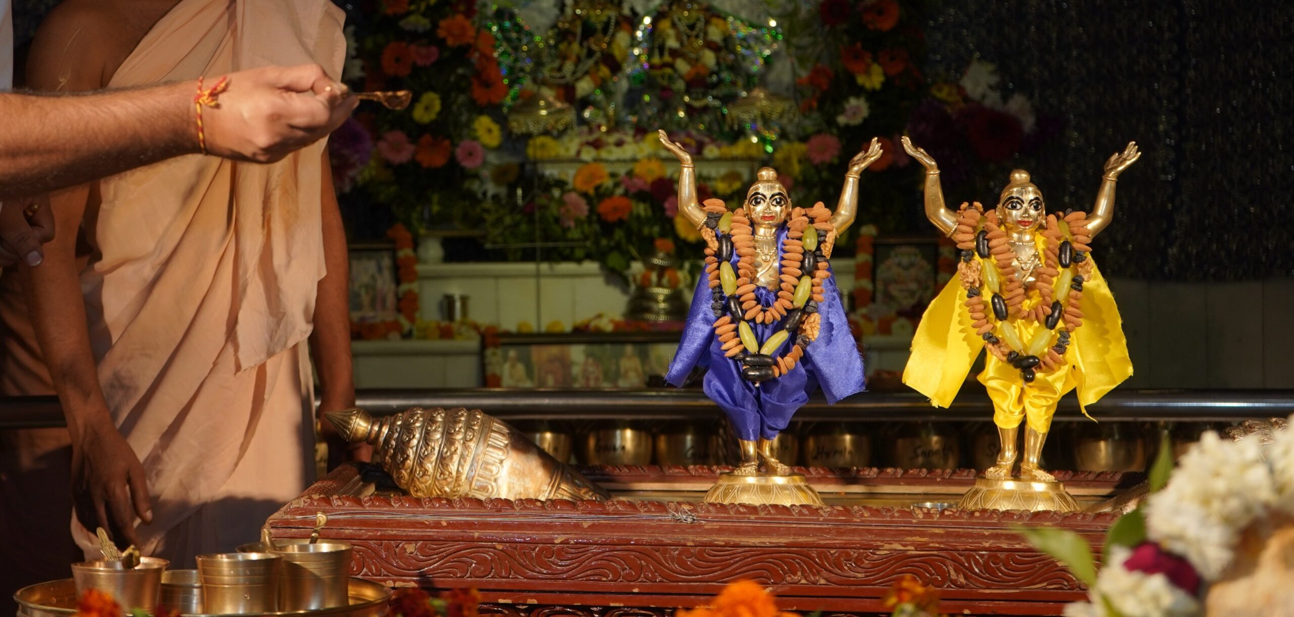 Arati Pics
