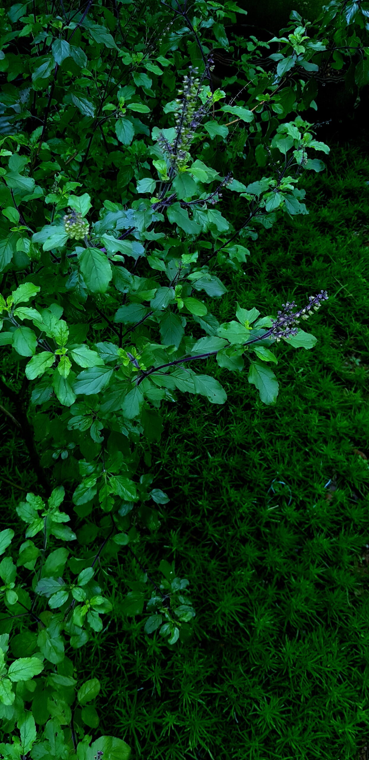 peakpx (2)